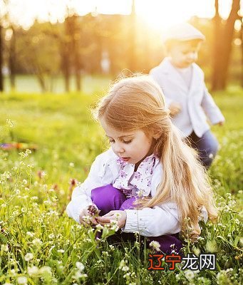 十二星座中,谁内心最强大?
