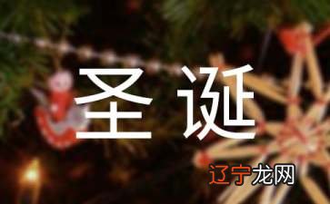 圣诞节的礼物作文