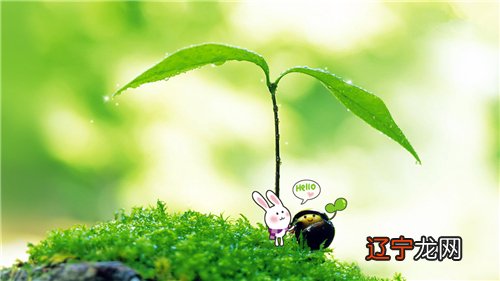 全文 双鱼座跟什么星座最配