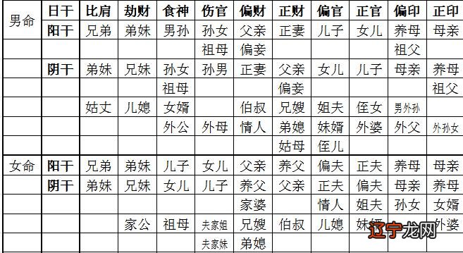 金舆怎么查 金舆是什么