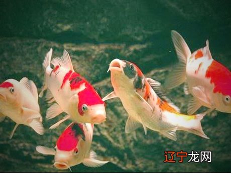 六种八字命理合婚方法