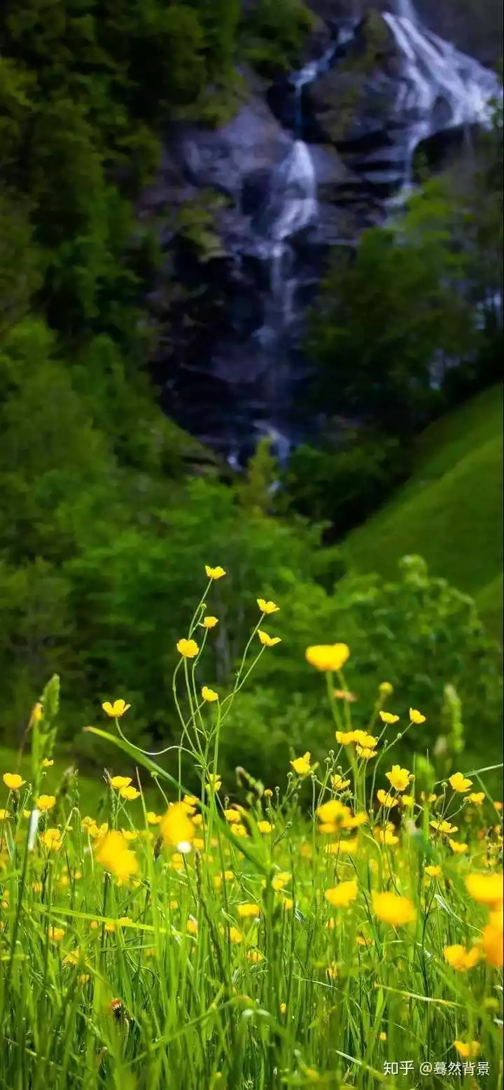 2001年属蛇男最佳婚配,属蛇的和什么属相最配 揭秘最佳婚配表