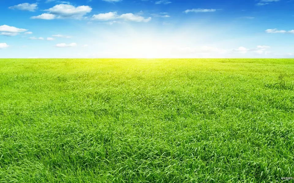 2001年属蛇男最佳婚配，属蛇的和什么属相最配 揭秘最佳婚配表