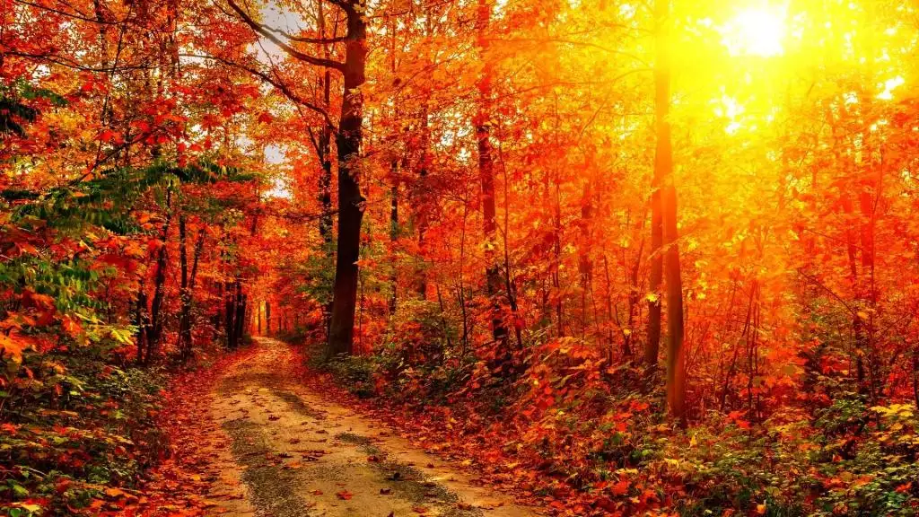 2001年属蛇男最佳婚配，属蛇的和什么属相最配 揭秘最佳婚配表