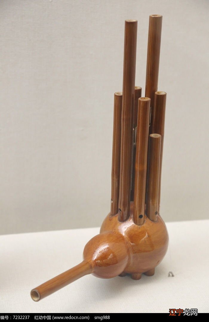 古筝算弹拨类乐器吗_弹拨极泉视频_弹拨乐器有哪些