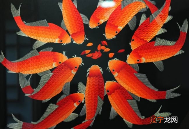 2、双鱼座 女 今年运势怎么样,有没有桃花运??