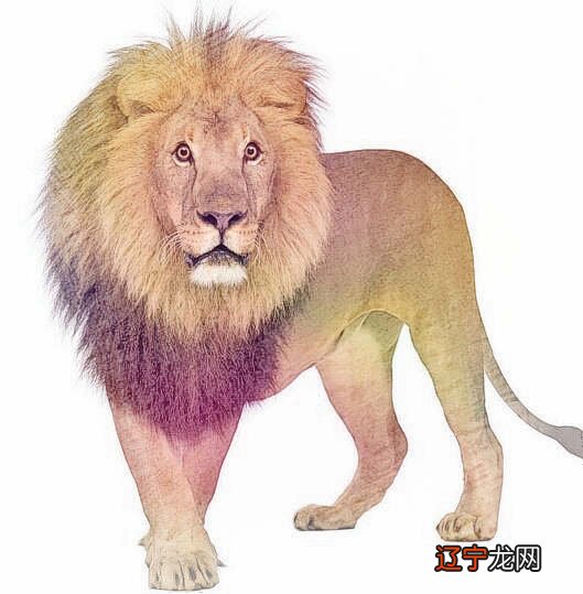 周公解梦 梦见狮子,僵尸