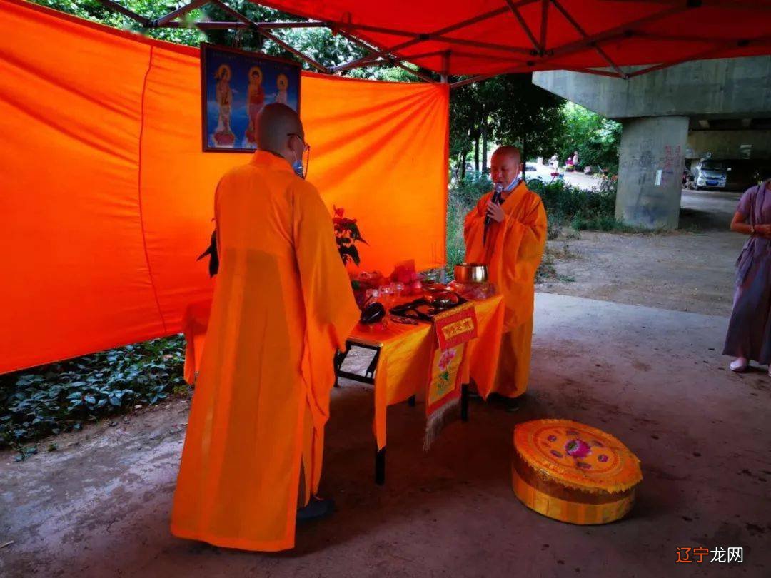 北大博士讲述:放生的神奇真的不是我们能够想象的