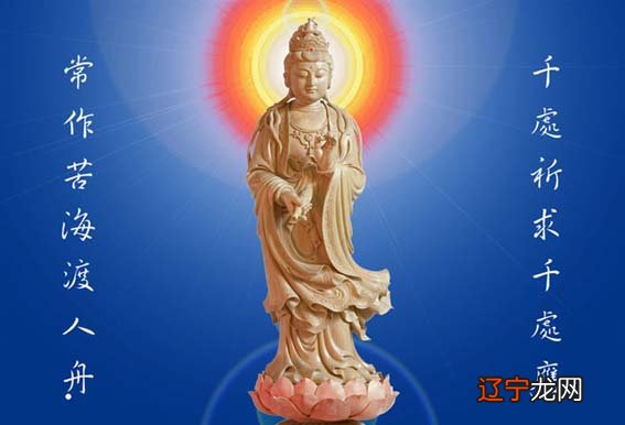 放生的功德福报,真是不可思议!