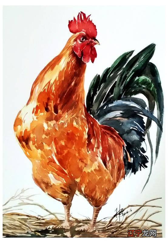 属鸡的年份_属猪的年份_属狗的年份