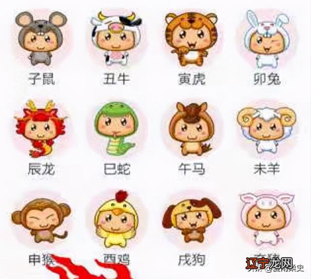 十二生肖配对表婚配属相表大全