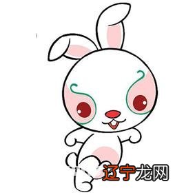 十二生肖配对表婚配属相表大全