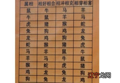 12生肖婚配表 合婚配对