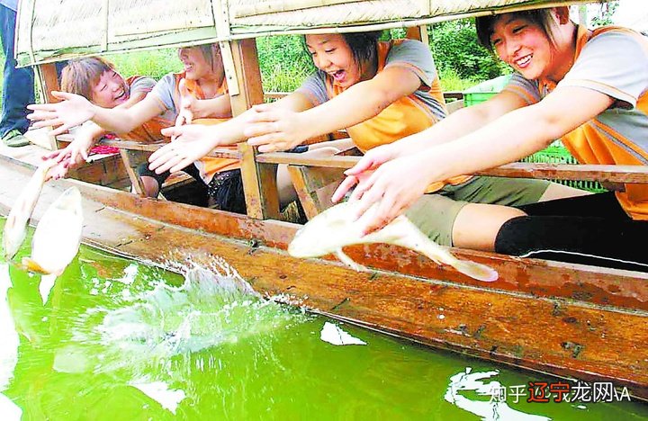 印光大师开示：放生十大功德