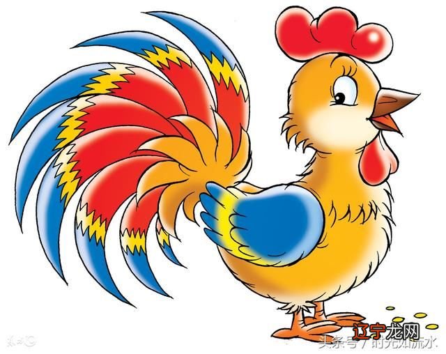 属鸡是什么命
