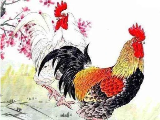 属鸡的和什么属相最配 生肖鸡配生肖牛家事亨通
