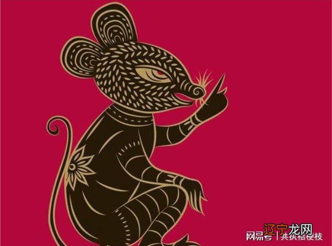 属龙的年份_属猪的年份有哪些_属龙的年份