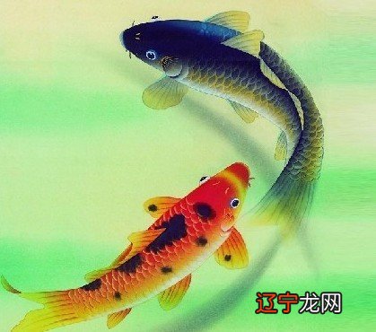 怀孕做梦梦到鱼是什么征兆？