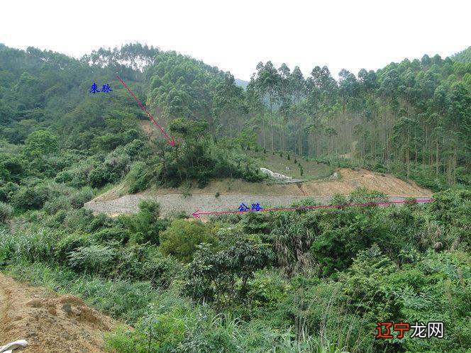 城头土命阴宅风水如何布局 阴宅风水布局细节