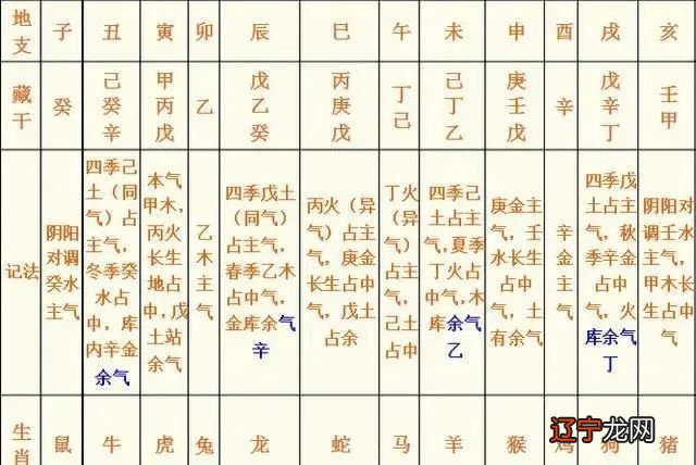 四柱八字宫位论命法