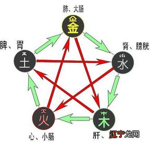 生辰八字与五行测算,生辰八字 五行 算的方法