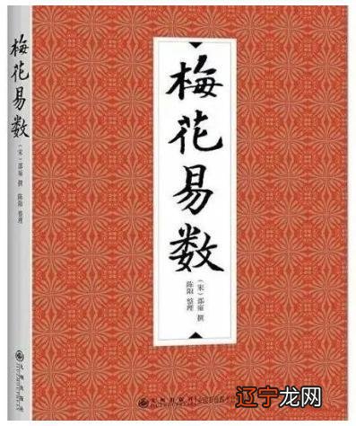 现在谁的梅花易数最好