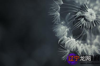 戊寅日哪个月份生好?详解戊寅日出生月份