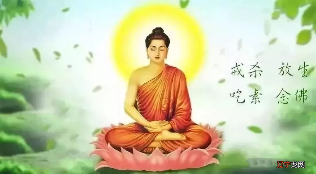 放生功德_放生功德_放生功德第一