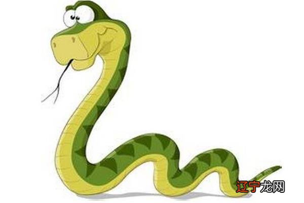 89年属蛇的属相婚配表