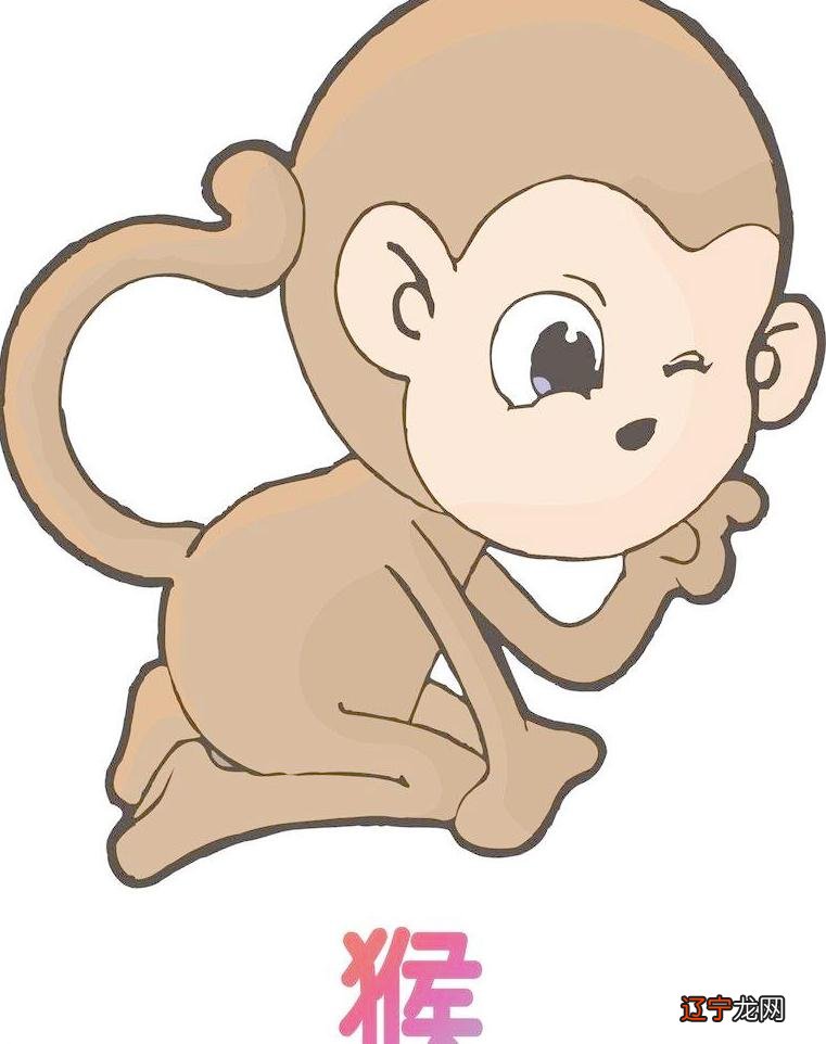 属猴与十二生肖婚配详解表