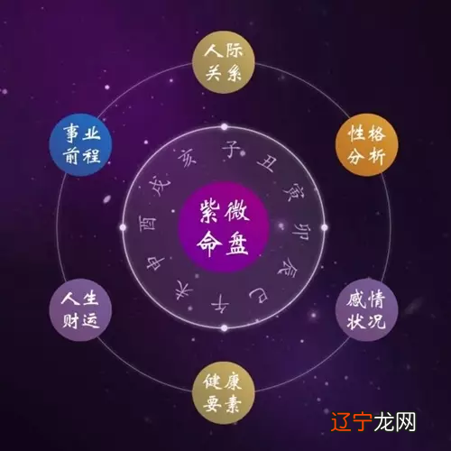 紫微斗数紫府朝恒格:入此格者,不大贵即当大富。