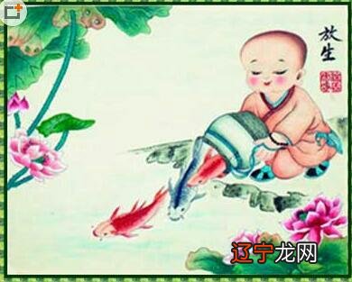 放生观音鸟功德好吗_放生功德_放生功德第一