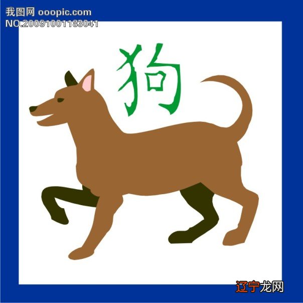 属狗的今年多大,属狗的人2019年几岁了