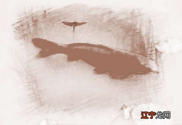 梦见抓了一条红鱼相关梦境