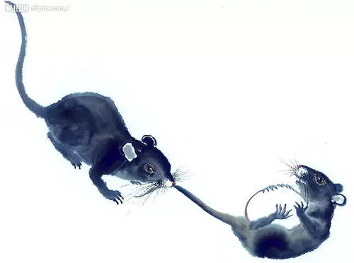 72年属鼠女一生婚姻好不好,1972年女属鼠婚婚姻姻财运