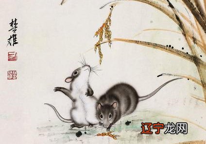 1996属鼠的婚姻与命运