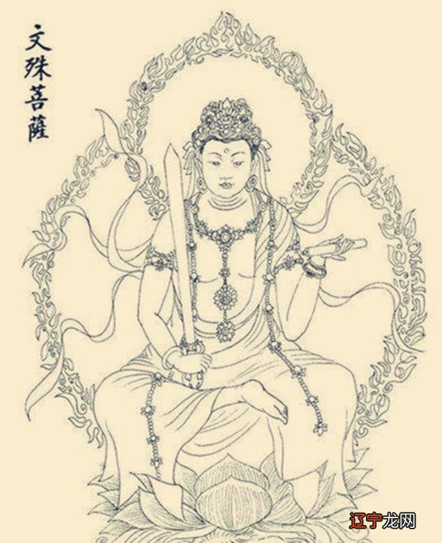 佛教:放生这样做,福报与功德巨大!