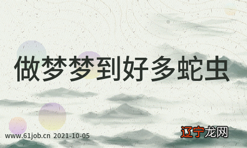 恋爱中的人做梦梦到好多蛇虫