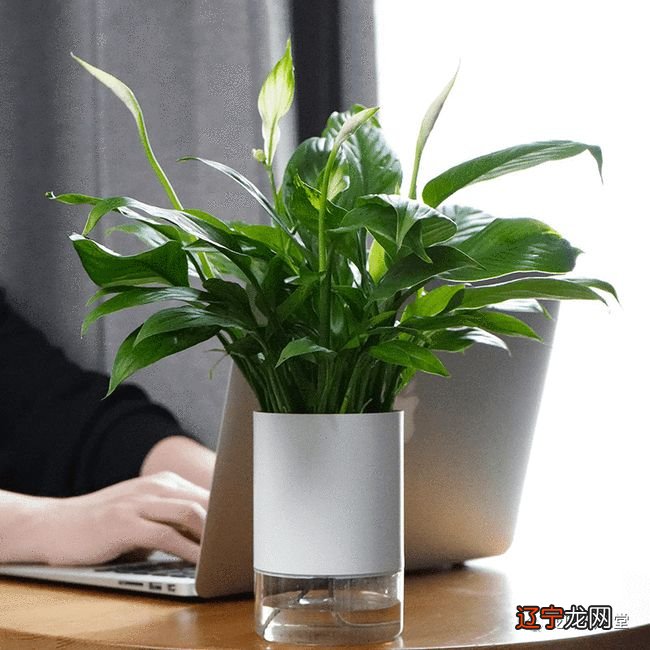 办公桌物品如何摆放风水好?