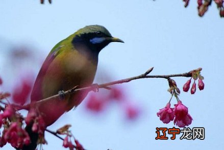 农历闰六月是什么意思?闰月是不是没有节气?