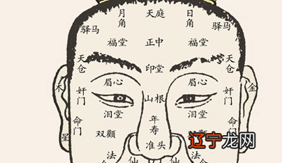 面相_面相不准 面相吧_面相师解说刘诗诗面相