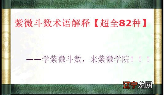 紫微斗数术语解释超全82种 | 紫微学院
