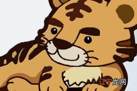 属虎和什么属相最配