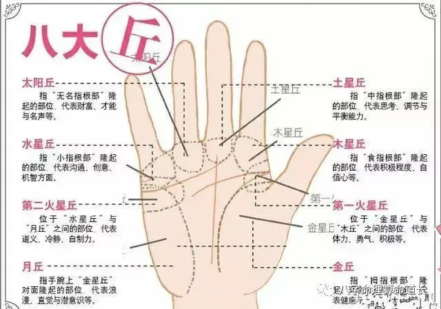 手相图解大全_女人断掌手相图解_手相图解