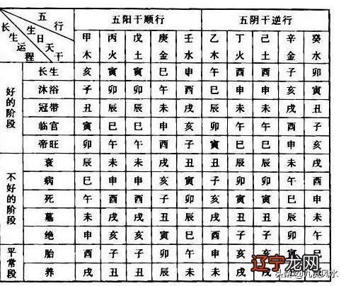 壬水女的命运如何