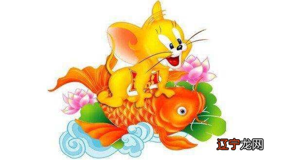 属虎的鼠年运势及运程,2019年属鼠运势