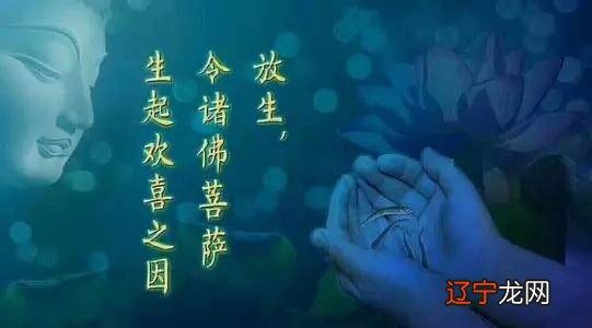 放生的功德利益