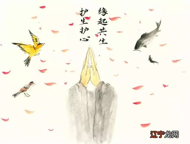 放生的功德利益