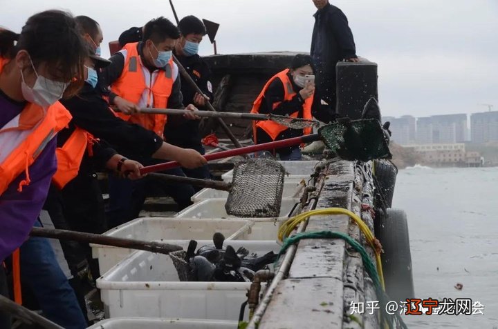 经常放生的人，有这20件不可思议的福报！