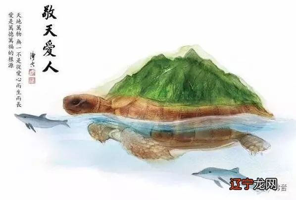 经常放生的人,有这20件不可思议的福报!